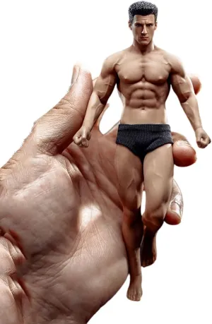 1/12 Scale Male Action Figure,6inch Male Super-Flexible Seamless Action Figure Body Doll Collection(TM01A Normal Version)