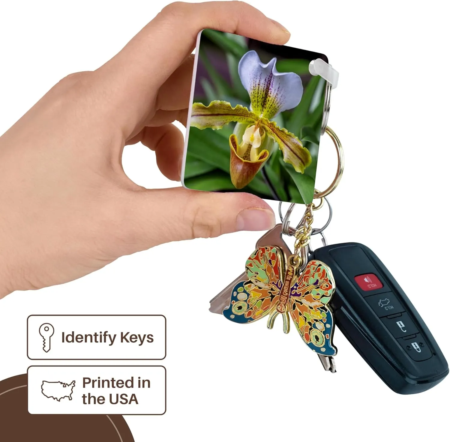 3dRose, Venus Slipper Orchid, Key Chain
