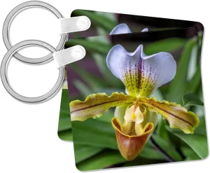 3dRose, Venus Slipper Orchid, Key Chain