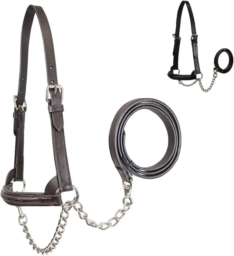 Derby Originals Premium Raised Padded Fancy Stitch Leather Cattle Show Halter with Matching Chain Lead