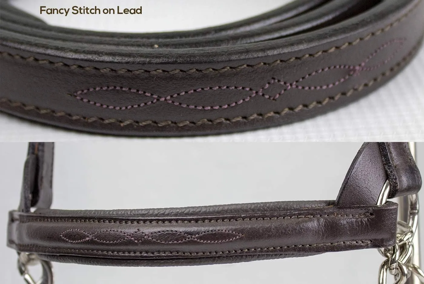 Derby Originals Premium Raised Padded Fancy Stitch Leather Cattle Show Halter with Matching Chain Lead
