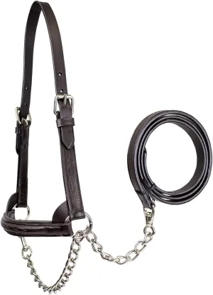 Derby Originals Premium Raised Padded Fancy Stitch Leather Cattle Show Halter with Matching Chain Lead