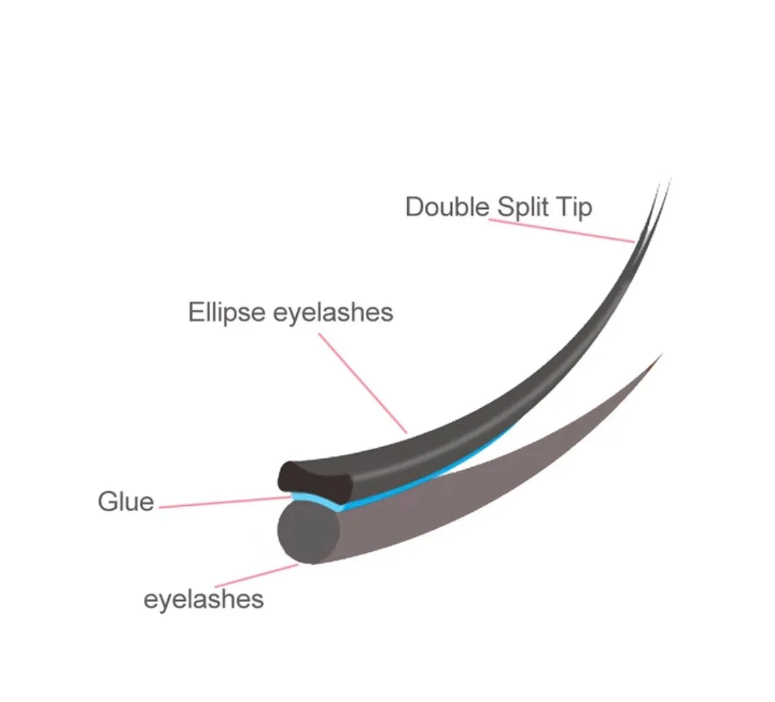 Featherweight  Flat Lashes (Ellipse) 0.15D Curl