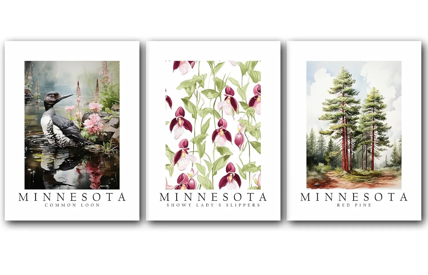 Minnesota Symbols, Common loon Bird, Showy Lady's Slippers Flower, Red Pine Tree, 8 x 10 Inches, Set of 3 State Posters, Wall Art Décor