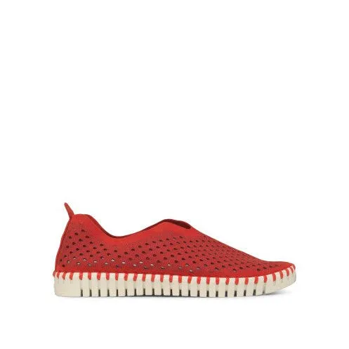 Tulip Flat