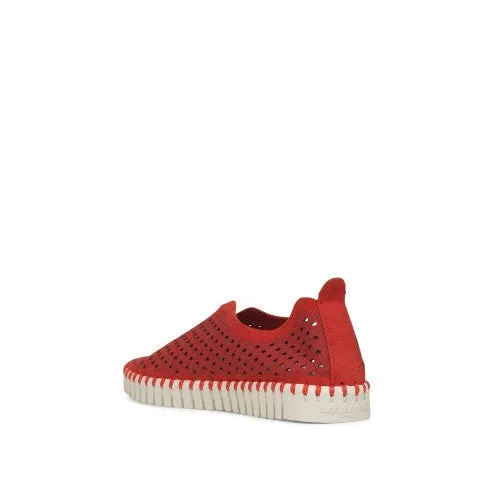 Tulip Flat