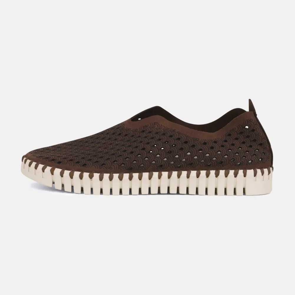 Tulip Flat