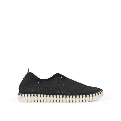 Tulip Flat